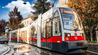 Vollbremsung! Bei Regen unterwegs auf Linie 37 in Wien! | City Transport Simulator 2026: Vienna #3