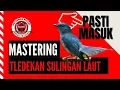 Download Lagu Tledekan Sulingan laut | Suara Air Alam Hutan | Smart Mastering 3D | Masteran Burung | Full HD