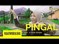 Download Lagu PINGAL - NGATMOBILONG || COVER POP DANGDUT VERSION ( VOC. DEWI MUSTIKA ) By Agus tje
