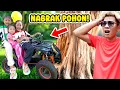 Download Lagu GAWAT ALUNA DAN AMANDA HAMPIR NABRAK POHON!! SAMPAI DEGDEKAN!!