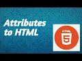 Attributes in HTML Full details of the HTML Attributes Class 4 HTML Tutorial By SP