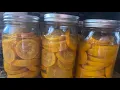 CANNING SQUASH IN THE NESCO CAREY CANNER STEP BY STEP