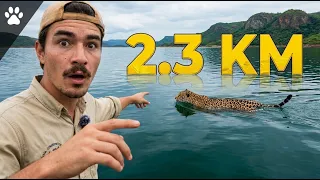 Fui ao Lugar Onde uma Onça Fez Algo que a Ciência Achava Impossível