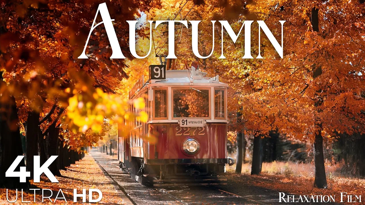 Autumn 4K • Scenic Relaxation Film with Peaceful Relaxing Music and Nature Video Ultra HD