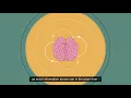 ALT achieve study skills - Brain Dump
