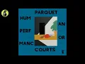 Parquet Courts - Berlin Got Blurry (Karaoke)