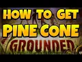 How to Get Pinecones in Grounded 2023