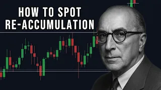 The Hidden Phase How Wyckoff Spots Re-Accumulation Before the Next 10X Move