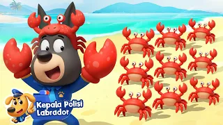 Banyak Kepiting Kecil! 🦀🌊& Lainnya| Seri Baru: Kota Air!🌊| Kartun Anak-anak | Kepala Polisi Labrador