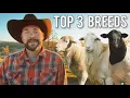 Top 3 Sheep Breeds That Actually Make Money