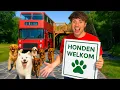 Download Lagu Meest Unieke Airbnb Voor Honden 🐶