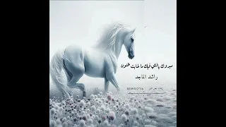 مبروك ياللي فيك ماخابت اظنون      راشد الماجد لطلب بدون حقوق دندنها