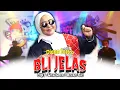 Download Lagu BLI JELAS - DIANA SASTRA