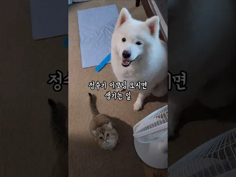 정수기 이모님 오시면 생기는 일