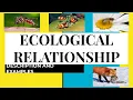 WHAT ARE THE DIFFERENT TYPES OF ECOLOGICAL RELATIONSHIP DESCRIPTION EXAMPLES PRACTICE TEST