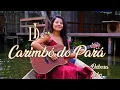 Download Lagu Débora Lobo - Oh Morena (Clipe Oficial) Carimbó