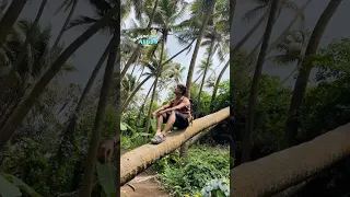 Alibag hidden spots || Kokan division food tour Ep no 9