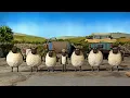 Download Lagu Irish Dance Shaun the Sheep #shorts