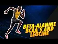 Beta-alanine BCAA s and Leucine the inspiration needed for your training day