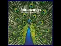 The Bluetones - Slight Return