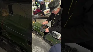 عمل قطر لعبة يشيل ربع طن 