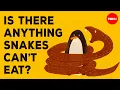 How do snakes swallow animals so much bigger than they are - Niko Zlotnik