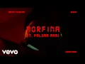 Download Lagu Prince Royce - Morfina (Official Lyric Video) ft. Paloma Mami