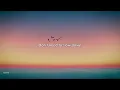 SAILORR - cut up (lyrics)