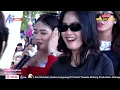 Download Lagu SINKA XUN - Setia Jujur dan Takwa   All Artis - Aii Agency Musik
