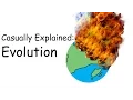 Casually Explained Evolution