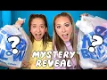 BLINDFOLDED FIVE BELOW HAUL GRAND REVEAL
