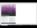 Chapter 30 P4 Software Development