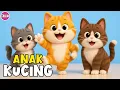ANAK KUCING MEONG MEONG - Lagu Anak Anak - Lagu Anak \u0026 Balita Paling Viral Terpopuler
