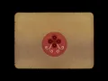 Tom Petty - Wildflowers (Home Recording) [Official Music Video]