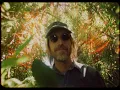 Download Lagu Tom Petty - Wildflowers (Home Recording) [Official Music Video]