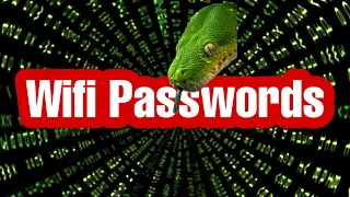 Get WiFi Passwords With Python python project for beginners