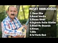 Neşet Abalıoğlu Divane Gönül