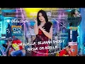 Download Lagu OM ADELLA - Sejarah Sherly Kdi masuk Om adella (Mata Netizen)