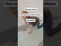 AD Primitive Reflexes