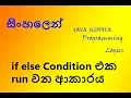 IF ELSE Condition in Sinhala