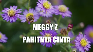 Download Meggy Z - Pahitnya Cinta ( Lirik Video) MP3