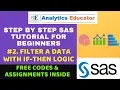 SAS Tutorial Filter a Data with If Then logic