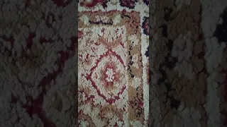 xtm present annia fly on the wings of love xtm remix i carpet by xtm 