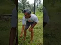 Download Lagu Spinning old man💀 #cat #funny #ngaret #lucu