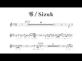 Sizuk/俊龍 - 零［メロディー譜］/「リィンカーネーションの花弁」エンディング主題歌