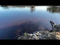 N10310 Pine Shore Ln Tomahawk WI 54487 350 000