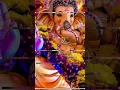 Download Lagu jai Ganesh Jai Ganesh Jai Ganesh Deva short video whatsapp status 🙏🙏🙏