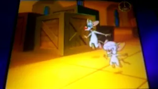 Spacetoon Arabic 2008 Detective Conan Bumper Pinky And The Brain Promo 