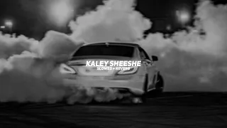 kaley sheeshe slowed reverb addy nagar barato nation