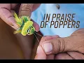 Download Lagu In Praise of Poppers